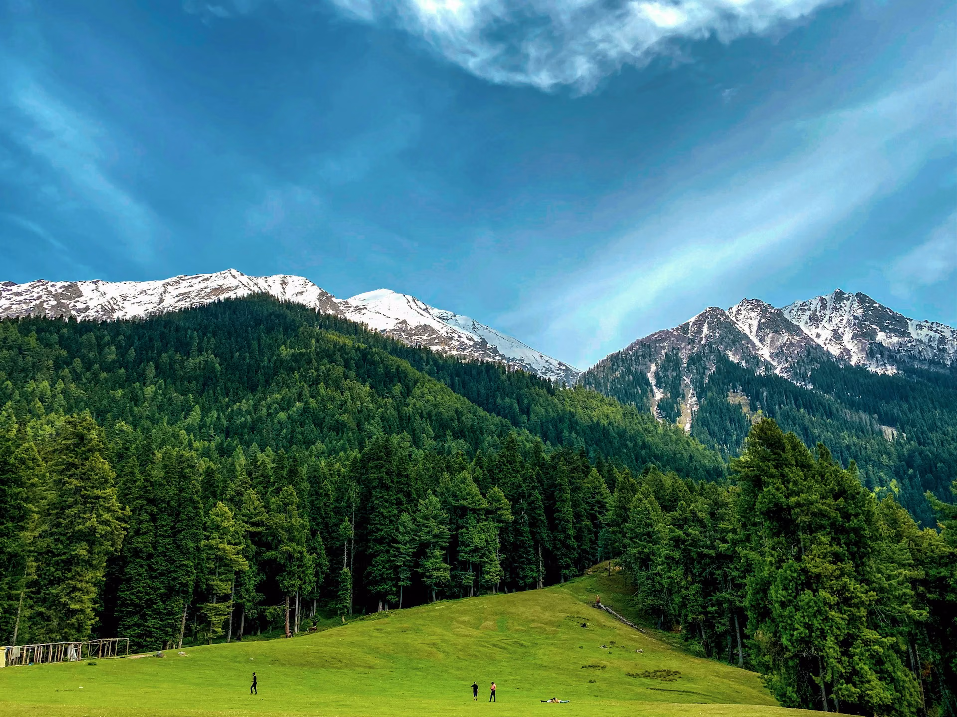 Pine forests and peaks of Pahalgam