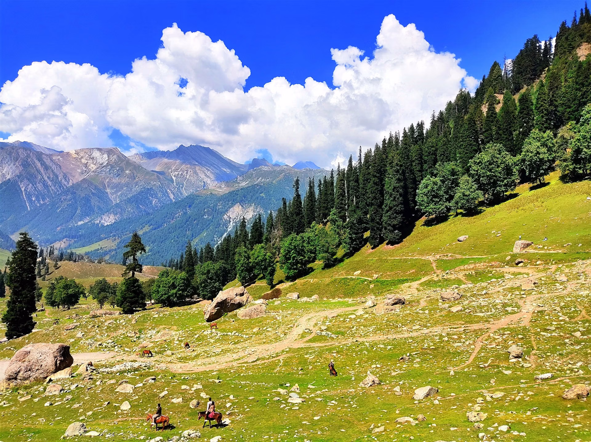 Sonamarg meadows and snow-capped mountains