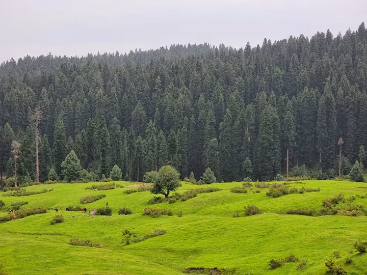 Tosamaidan 6 Nights 7 Day Trek – photo 2